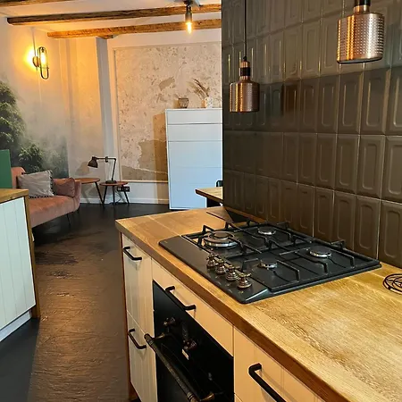 Zabrska Loft House Xviii