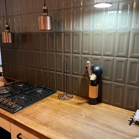 Apartament Zabrska Loft House Xviii