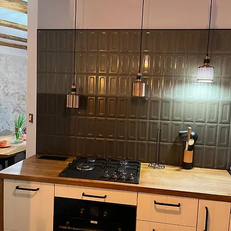 Zabrska Loft House Xviii Катовіце
