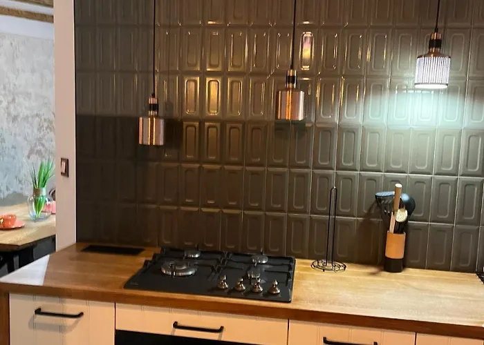 Zabrska Loft House Xviii * カトヴィツェ