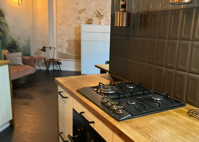 Zabrska Loft House Xviii アパート *